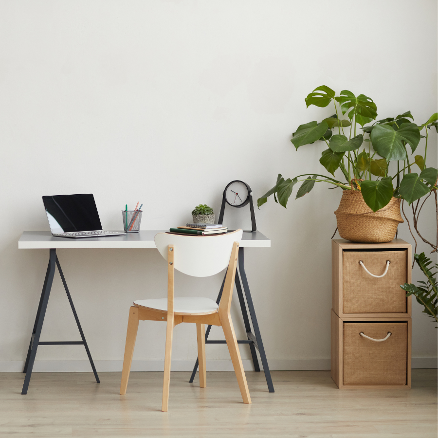 Minimal home office with a desk, computer, chair, storage container, and house plant