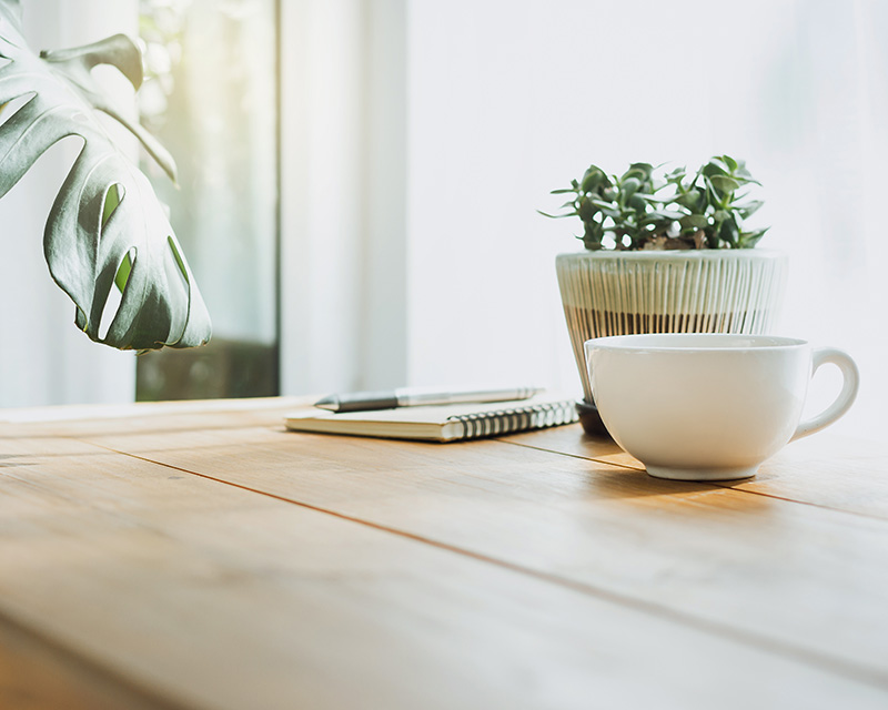Cup and plant on a table
