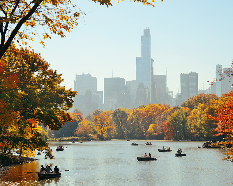 Central Park, CBT therapy in NYC
