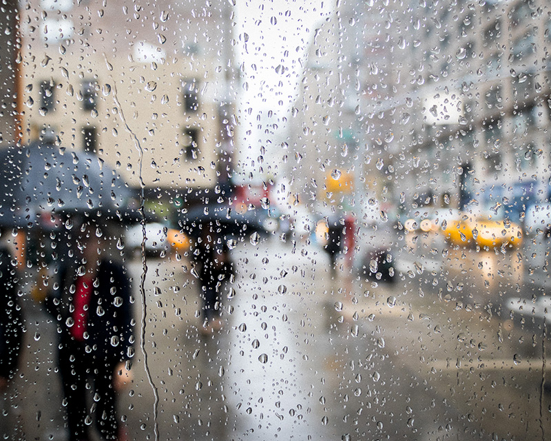 Umbrella in the rain