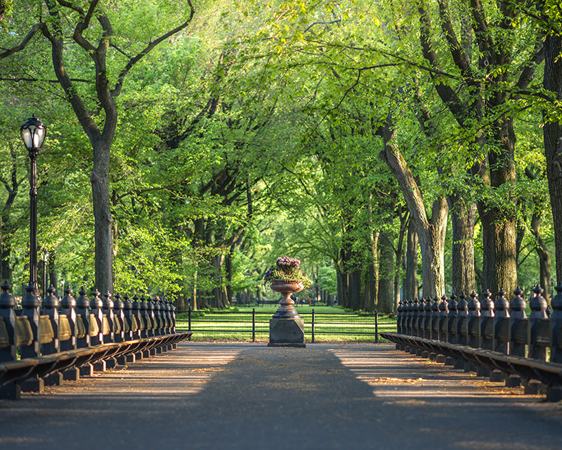 Mindfulness Therapy in NYC