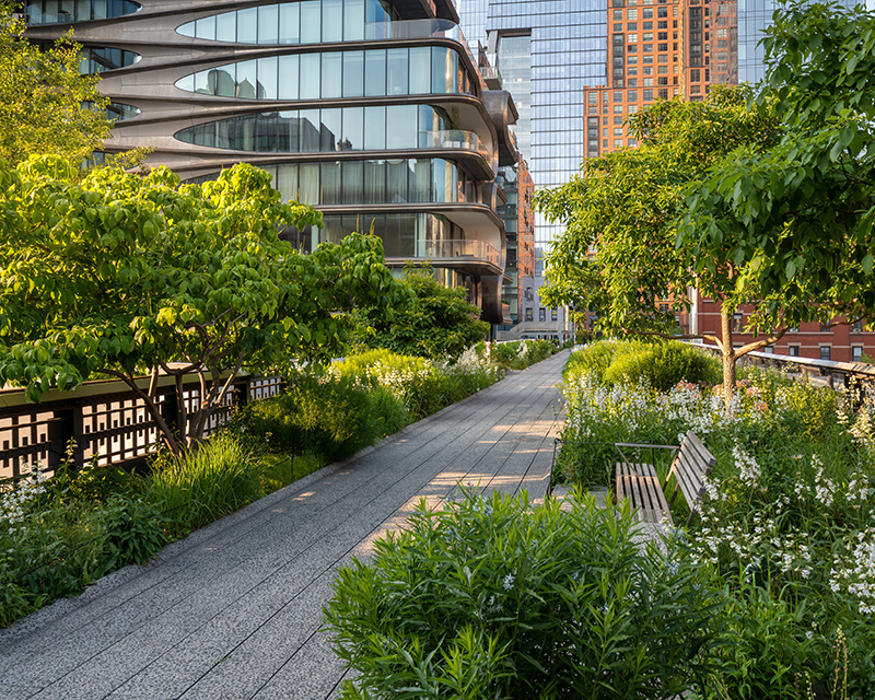 High Line ParkSolution Focused Therapy in NYC