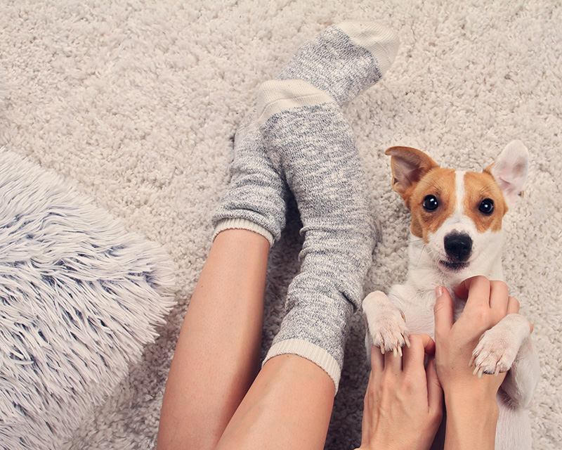 Teen with dog