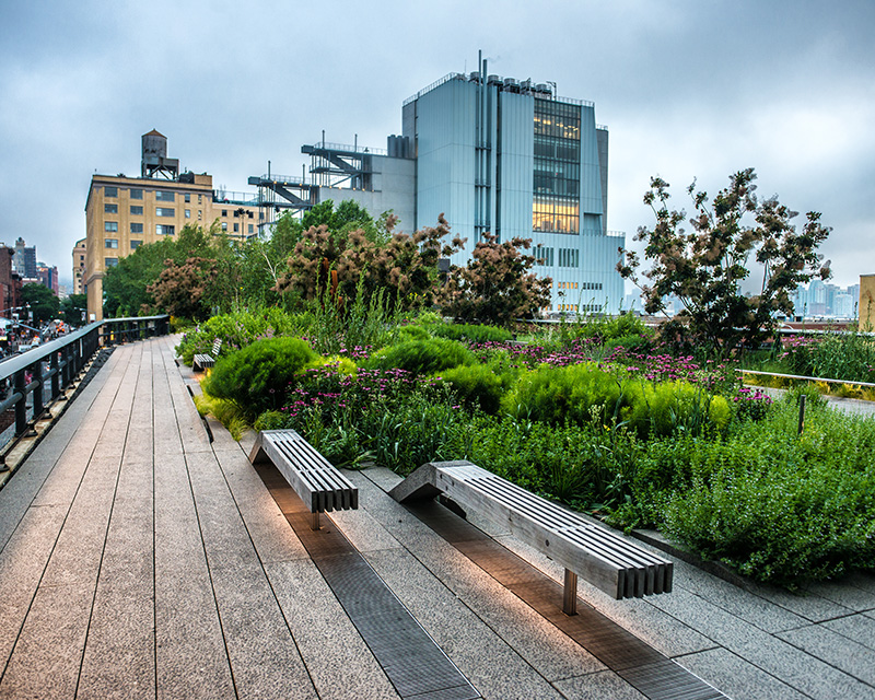 Therapy in NYC for special needs parents